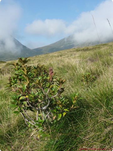 karawanken_2011_auslese_klein__151_.jpg